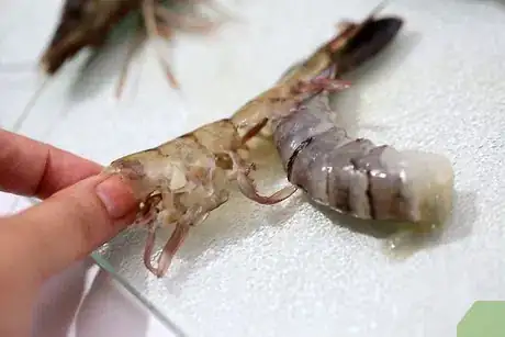 Immagine titolata Steam Shrimp Step 1Bullet2
