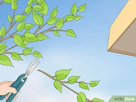 Immagine titolata Naturally Deter Scorpions Step 2