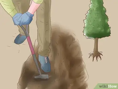 Immagine titolata Attract Yellow Finches Step 1