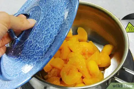 Immagine titolata Freeze Apricots Step 12