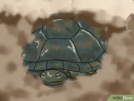 Immagine titolata Care for Your Box Turtle Step 13