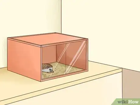 Immagine titolata Take Care of a Hedgehog Step 19