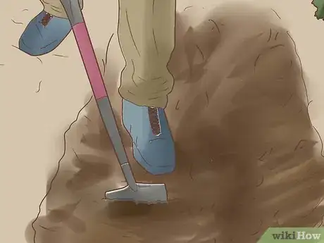 Immagine titolata Attract Yellow Finches Step 2