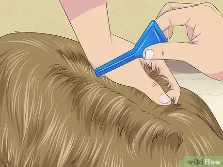 Immagine titolata Apply Frontline Step 5