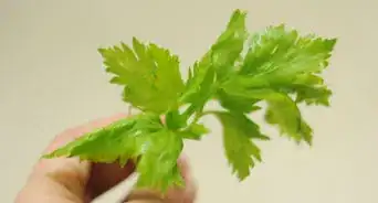Usare il Sedano