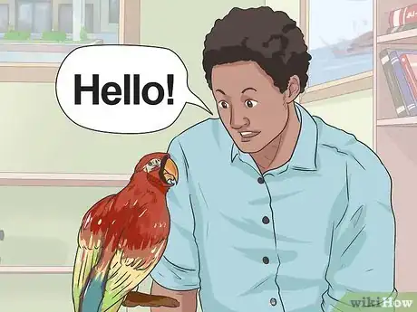 Immagine titolata Teach Your Bird to Talk Step 4