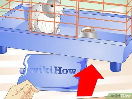 Immagine titolata Keep Pet Rabbits Cool Step 4