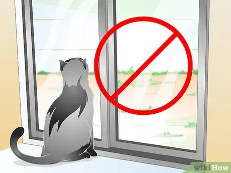Immagine titolata Care for Your Cat After Neutering or Spaying Step 5