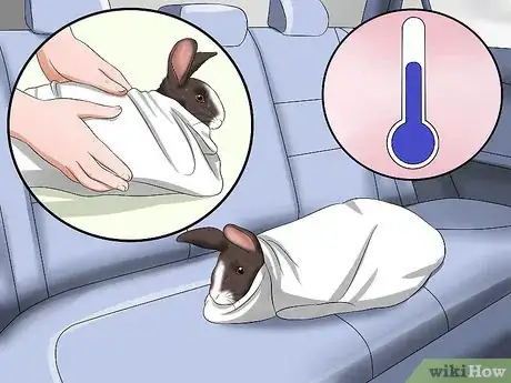 Immagine titolata Treat Heat Stroke in Rabbits Step 6