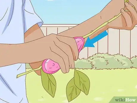 Immagine titolata Get Peonies to Bloom Step 10