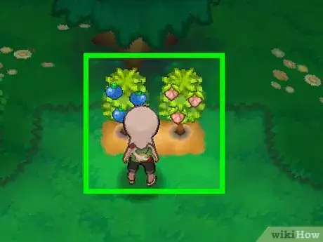 Immagine titolata Raise Friendship Level in the Pokémon Games Step 42