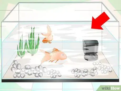 Immagine titolata Keep Aquarium Water Clear Step 9