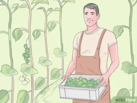 Immagine titolata Become a Farmer Without Experience Step 14