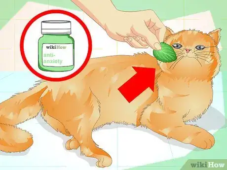 Immagine titolata Prevent a Cat from Spraying Step 3