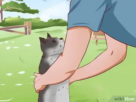 Immagine titolata Get a Cat out of a Tree Step 18