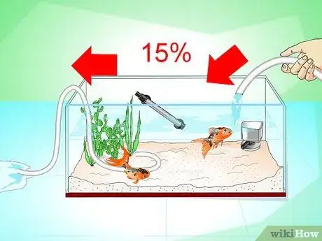 Immagine titolata Save a Dying Goldfish Step 3