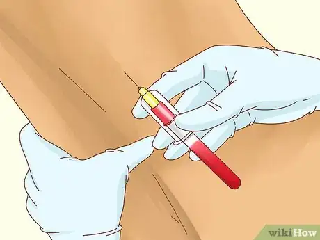 Immagine titolata Fatten up a Horse Step 5