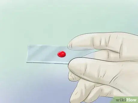 Immagine titolata Prevent Altitude Sickness Step 5