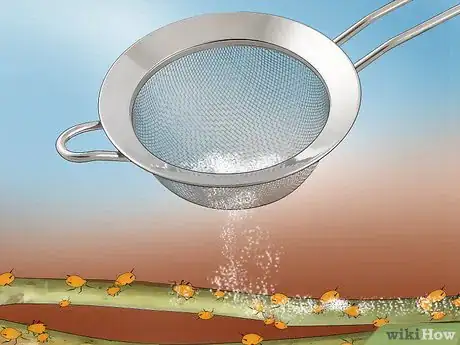 Immagine titolata Keep Aphids Away Using Eco Friendly Methods Step 7