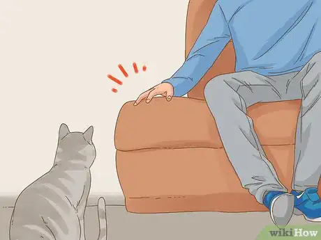 Immagine titolata Communicate with Your Cat Step 6