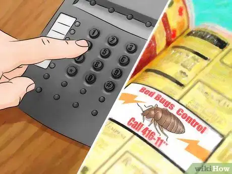 Immagine titolata Stop Bed Bug Bites Immediately Step 18