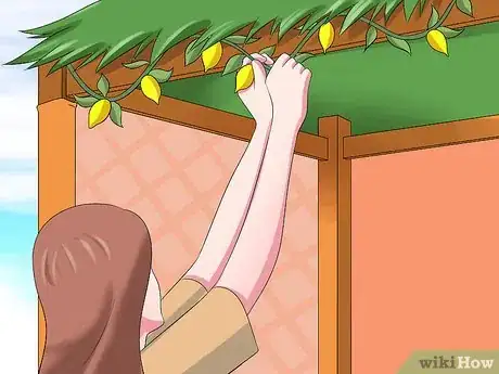 Immagine titolata Celebrate Sukkot Step 9