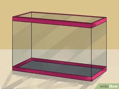 Immagine titolata Care for Your Box Turtle Step 5