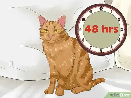 Immagine titolata Apply Frontline Step 7