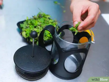 Immagine titolata Make Mint Tea Step 3