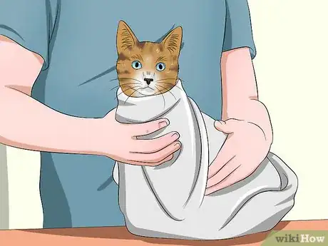 Immagine titolata Give a Cat Medicine Step 10