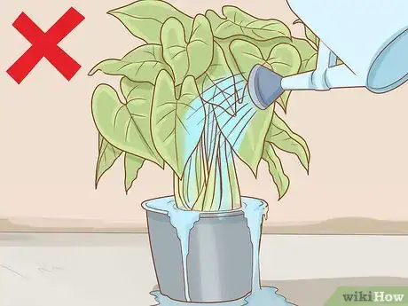 Immagine titolata Get Rid of Powdery Mildew on Plants Step 16