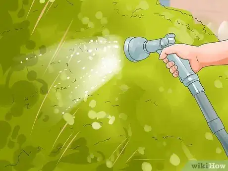 Immagine titolata Keep Fleas Off Dogs Step 17