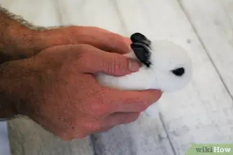 Immagine titolata Hold a Rabbit Step 7