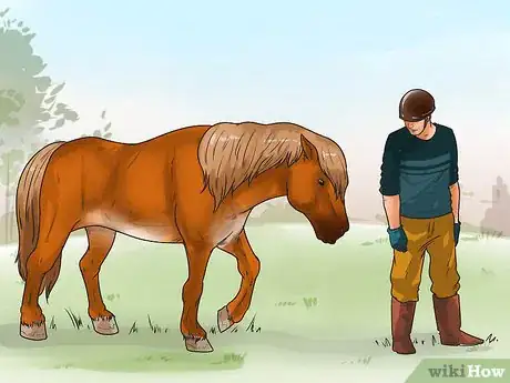 Immagine titolata Tell if Your Horse Needs Hock Injections Step 3