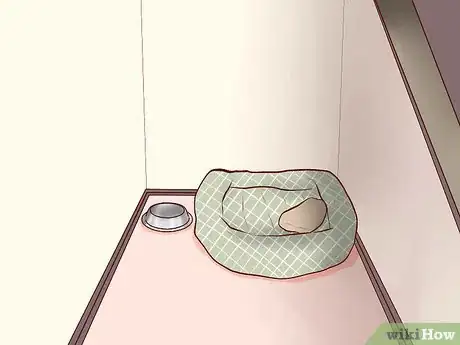 Immagine titolata Introduce Dogs to Cats Step 2