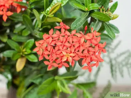 Immagine titolata Make Floral Craft Arrangements Step 1