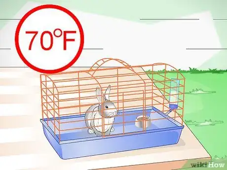 Immagine titolata Keep Pet Rabbits Cool Step 1