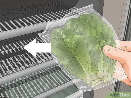 Immagine titolata Harvest Romaine Lettuce Step 11