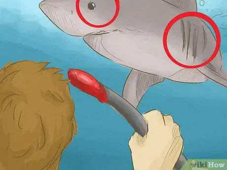 Immagine titolata Avoid Sharks Step 13