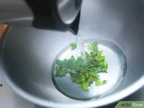 Immagine titolata Make Mint Tea Step 7