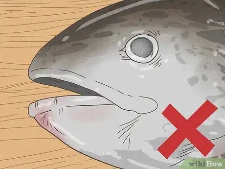 Immagine titolata Know if Salmon Is Bad Step 4