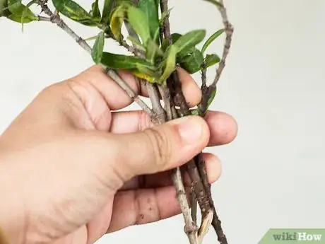 Immagine titolata Make Floral Craft Arrangements Step 8