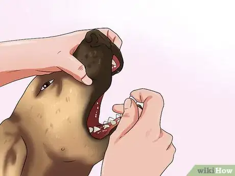 Immagine titolata Get Your Dog to Swallow a Pill Step 15