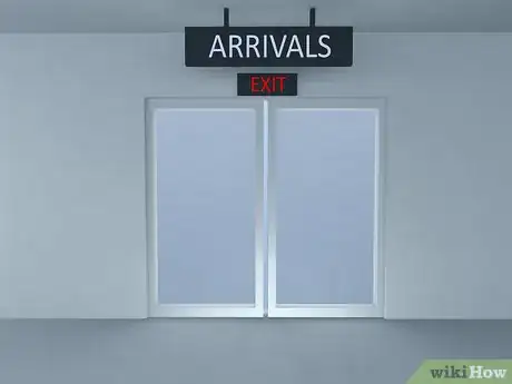Immagine titolata Go Through U.S. Customs Step 8