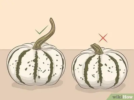 Immagine titolata Preserve a Pumpkin Step 8