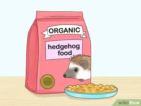 Immagine titolata Take Care of a Hedgehog Step 11