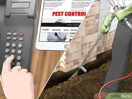 Immagine titolata Naturally Deter Scorpions Step 7