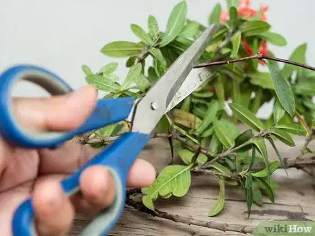 Immagine titolata Make Floral Craft Arrangements Step 7