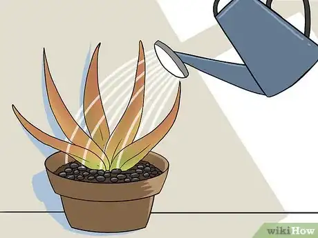 Immagine titolata Revive a Dying Aloe Vera Plant Step 13