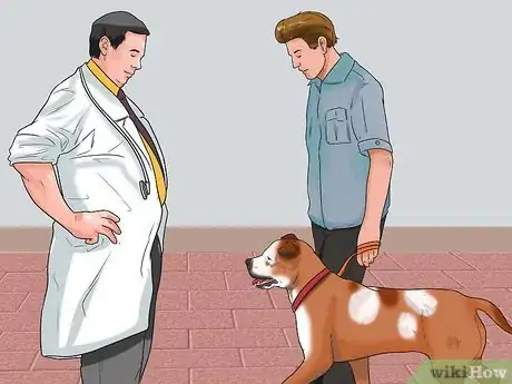 Immagine titolata Tell if Your Dog Has Parvo Step 8